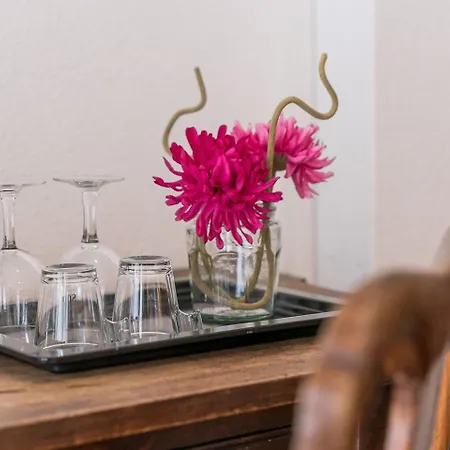 In Flores Pensjonat Porto